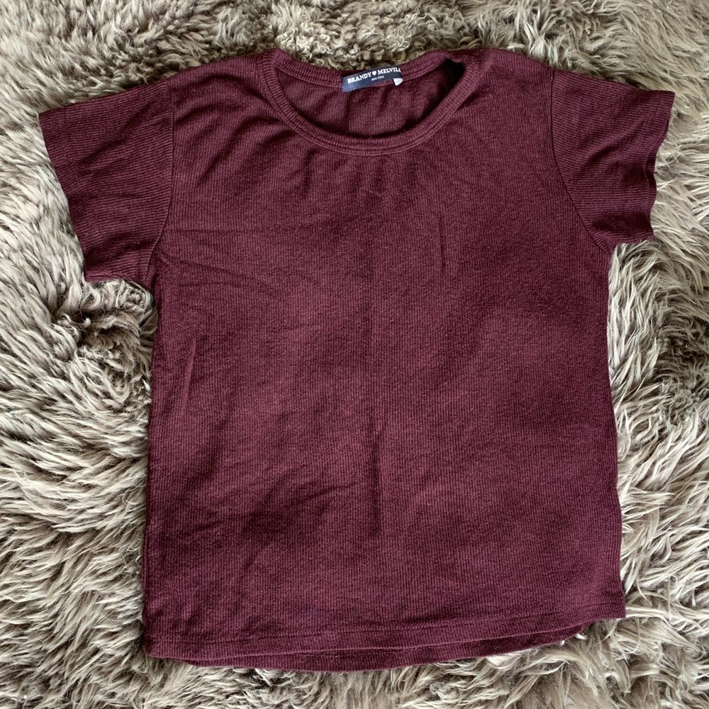 Brandy Melville Burgundy Knit Short Sleeve Tee